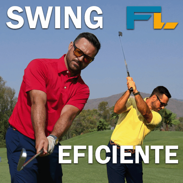 Swing Eficiente Saludable + Bonus